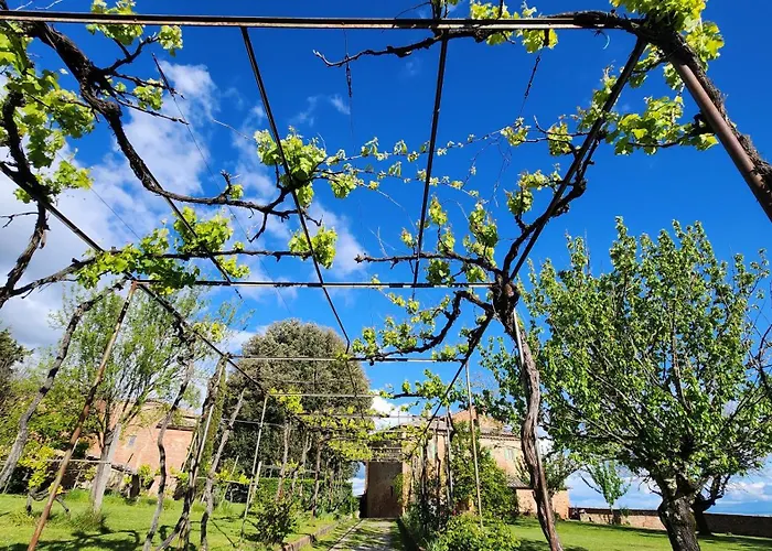 Al Glicine Di Sant'abondio Siena