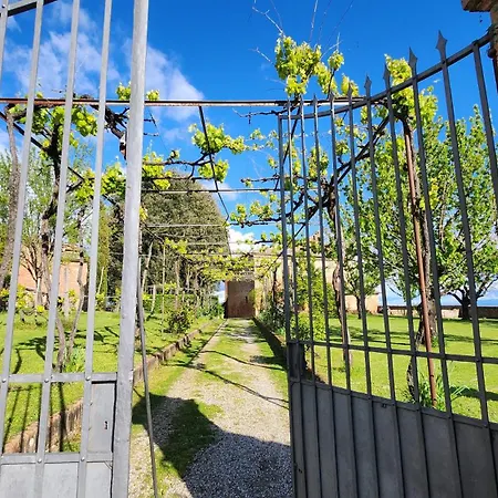 Al Glicine Di Sant'abondio *