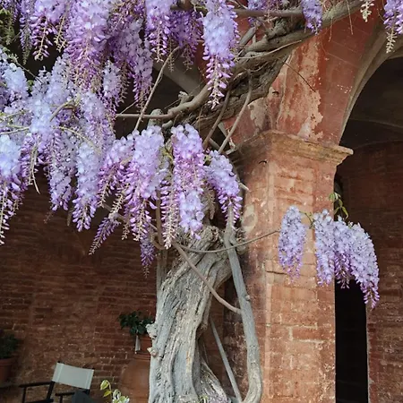 Al Glicine Di Sant'abondio *