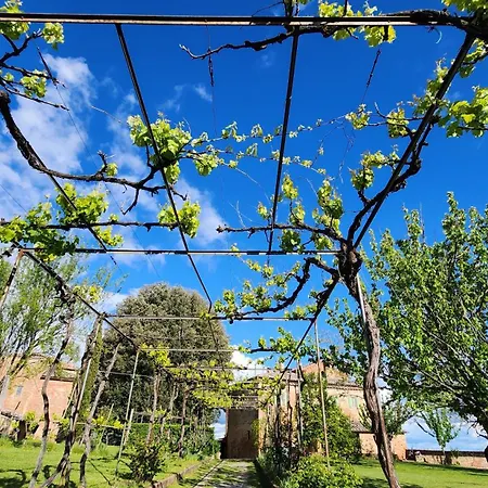 Al Glicine Di Sant'abondio Siena
