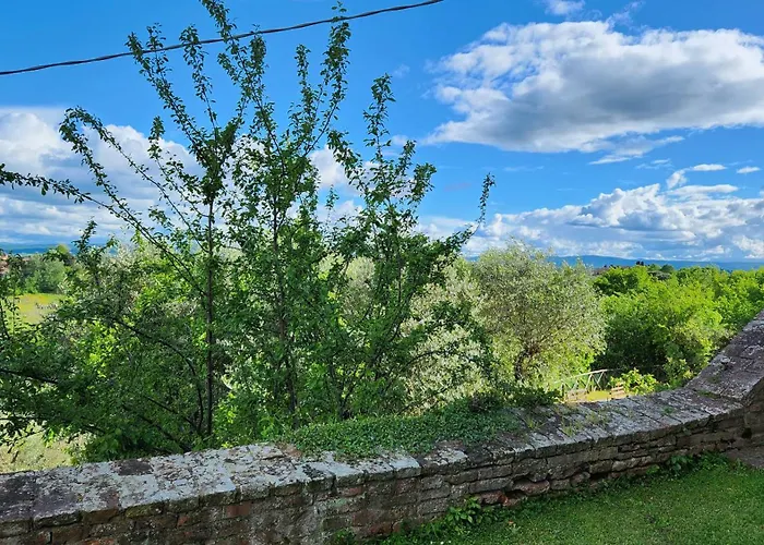 Al Glicine Di Sant'abondio * Siena