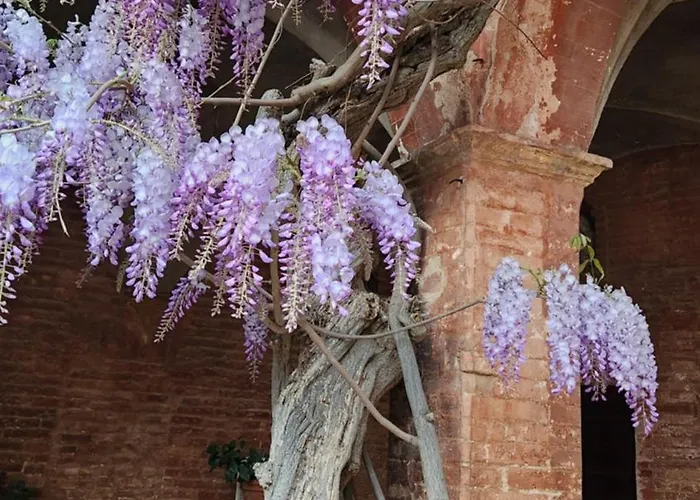 Al Glicine Di Sant'abondio *